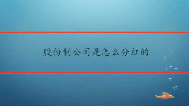 股份制公司是怎么分红的呢?