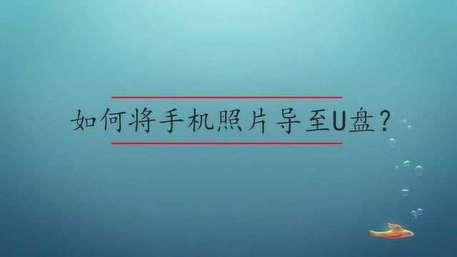 如何将手机照片导至U盘?