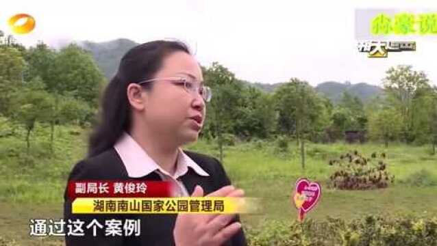 森林公安接到举报,火速进山,擒住国家公园内的“杀手”