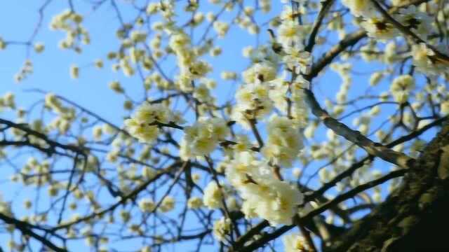 沂蒙山风景秀丽