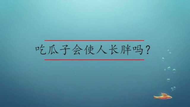 吃瓜子会使人长胖吗?