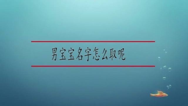 男宝宝名字怎么取呢?