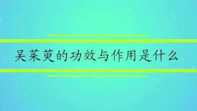 吴茱萸的功效与作用是什么