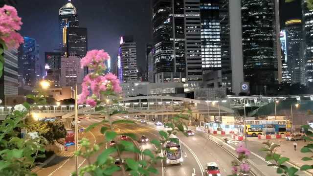 香港的夜景很美