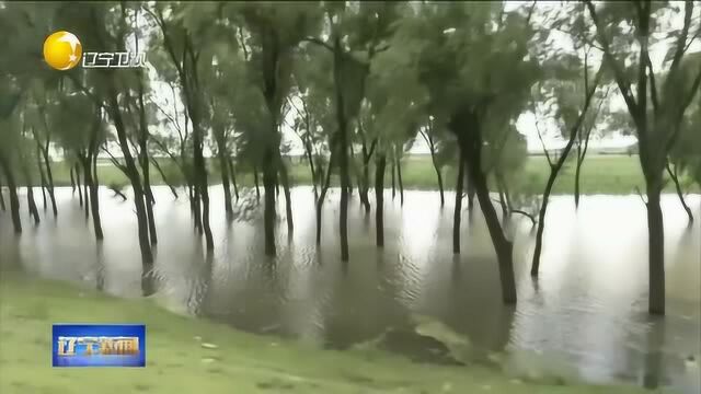 铁岭昌图县:网格化管理机制应对强降雨