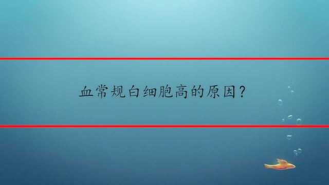 血常规白细胞高的原因?