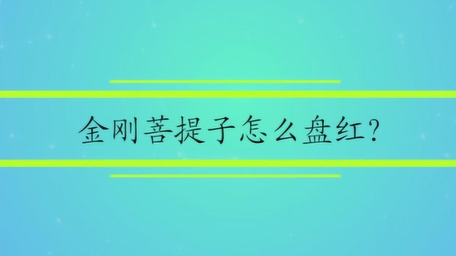 金刚菩提子怎么盘红?