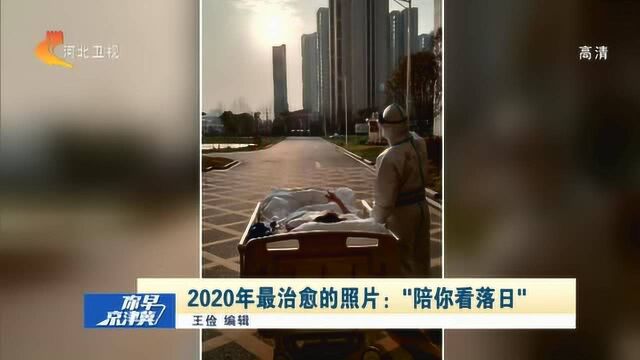 2020年最治愈的照片——“陪你看落日”