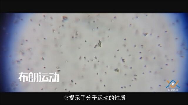 分子热运动——布朗运动