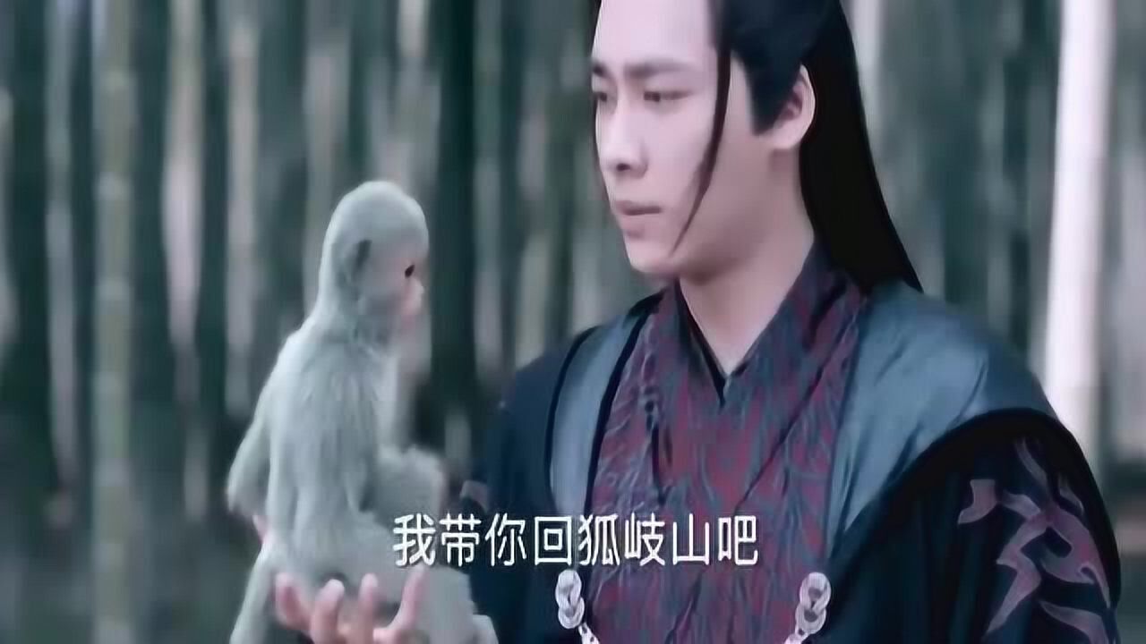 青云志十年后小伙再次见到小灰小灰依然记得他泪目