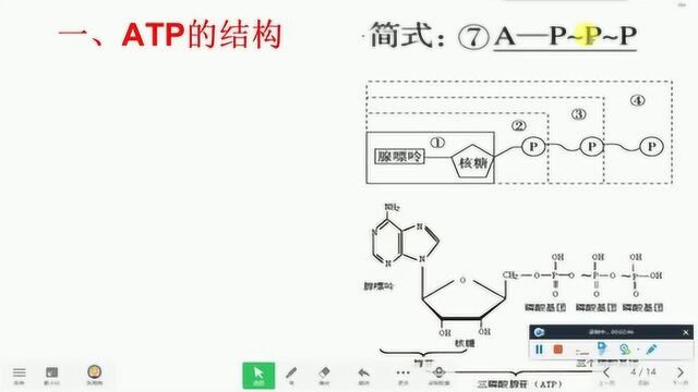 高三生物二轮《ATP》微专题