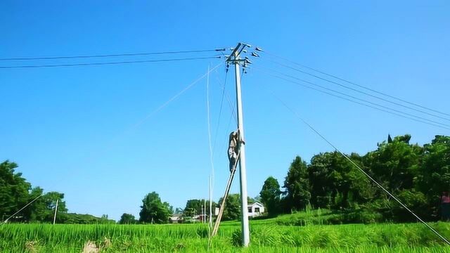 2020年安全用电微视频(国网霍山县供电公司)