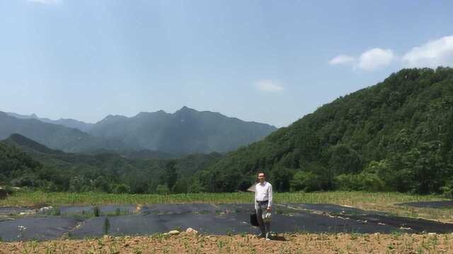 风水视频,四川风水传奇樊黄义结金兰一富一贵,葬水推罗磨地旺樊氏大发