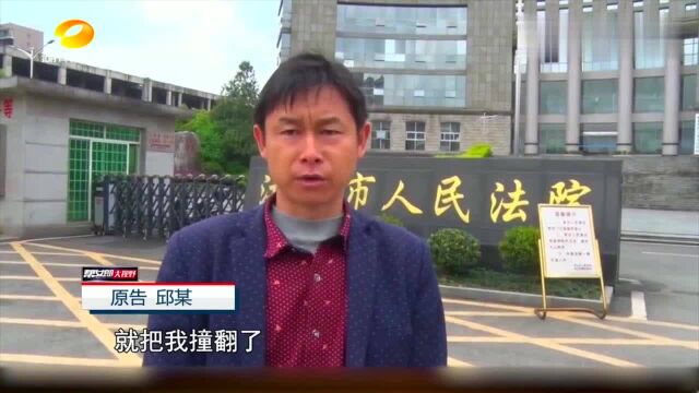 疯狂的小牛横冲进公路撞伤路人后,主人反称小牛是受害方