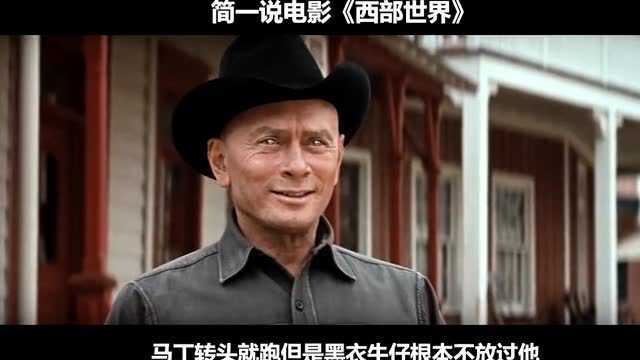 西部世界,1973年科幻惊悚电影《西部世界》,美剧鼻祖