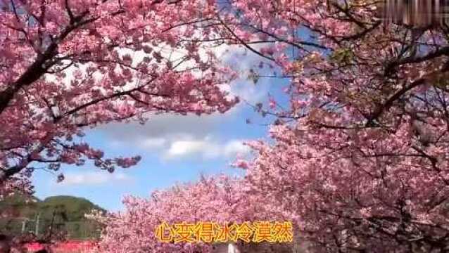 一首伤感治愈情歌《我的名字叫做安》唱的真是好听!