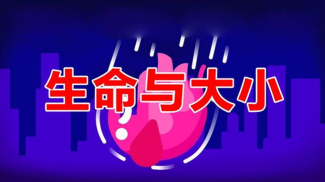 从摩天大楼丢下一头大象会怎么样? 生命与大小