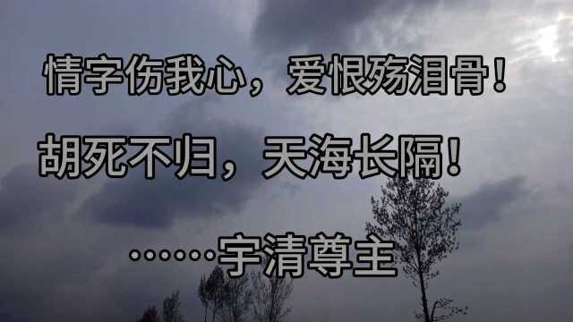 情字伤我心,爱恨殇泪骨.胡死不归,天海长隔《宇清的诗词歌赋》节选