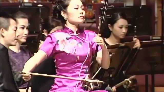 二胡名曲《二泉映月》二胡演奏:林感