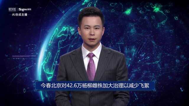 AI合成主播丨今春北京对42.6万杨柳雌株加大治理以减少飞絮