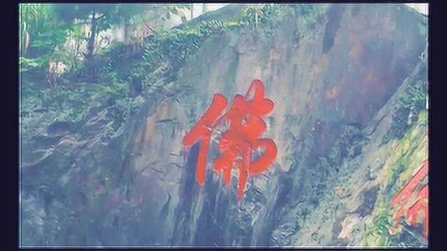 色不异空,空不异色.过好当下就是佛.