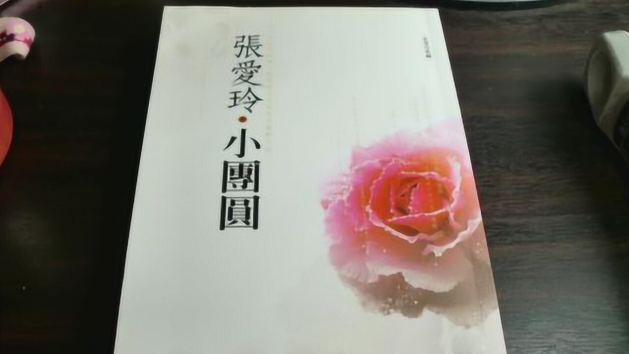 《小团圆》揭秘:原来胡兰成对张爱玲那么好 并非骗财骗色丨十三邀之金宇澄