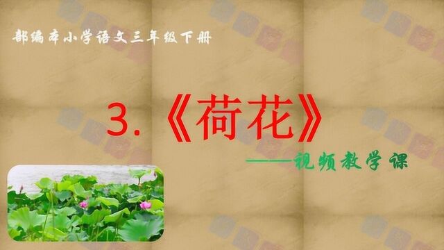 部编本小学语文三年级下册视频教学课——第3课《荷花》