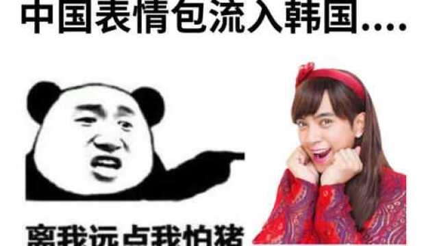 中国表情包流入到韩国?韩国人表示:离我远点我怕猪!