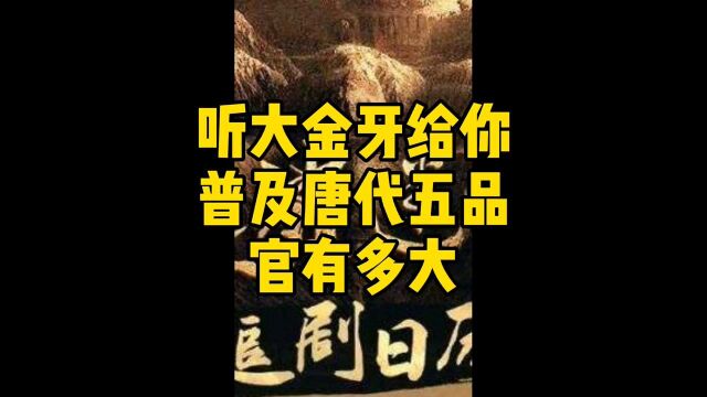 唐朝五品官员到底有多大?大金牙给你普及一下.