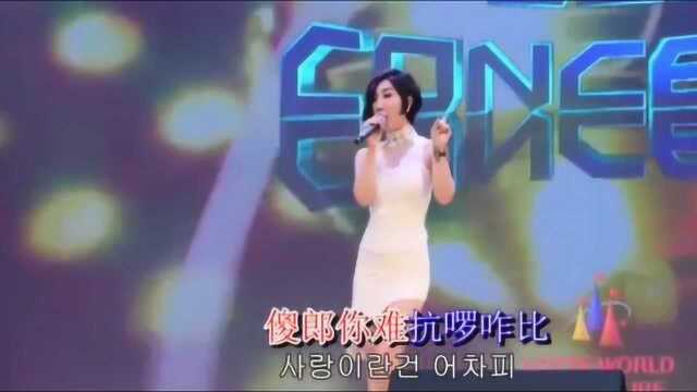 韩国经典歌曲:因为我爱你!