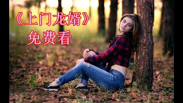 上门龙婿叶辰最新章节免费阅读