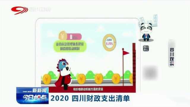 2020年四川财政支出清单公布(附详细内容)