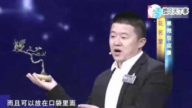 小伙发明微型盆景,可随身携带,一盆卖100元,年利超过400万