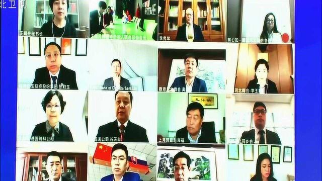 2020年中国ⷮŠ廊坊国际经济贸易洽谈会(网上)开幕