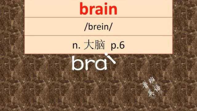 初中九年级英语必考单词brain极速复习巩固