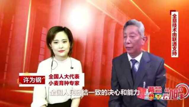 实战!全息采访