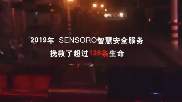 SENSORO 灵思智能安全服务