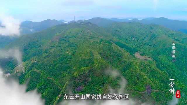 《茂名1分钟》