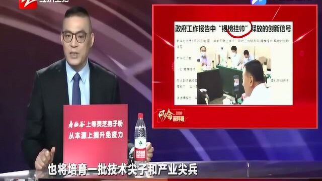 理念上的重大革新!政府工作报告中“揭榜挂帅”释放的创新信号