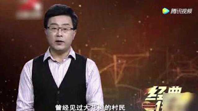 看世界:与世隔绝的“药王谷”,专家发现稀有中草药,谷内村民流传千年口诀