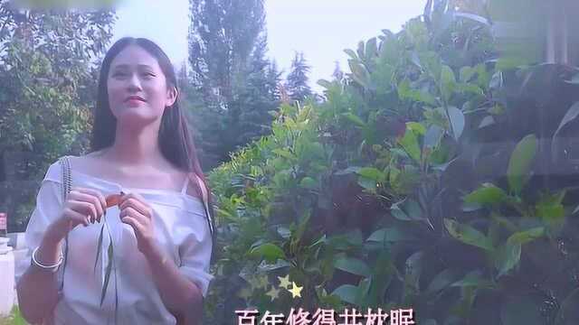 一首好听情歌《相伴一生》一曲相思红尘恋,彼岸花田续前缘