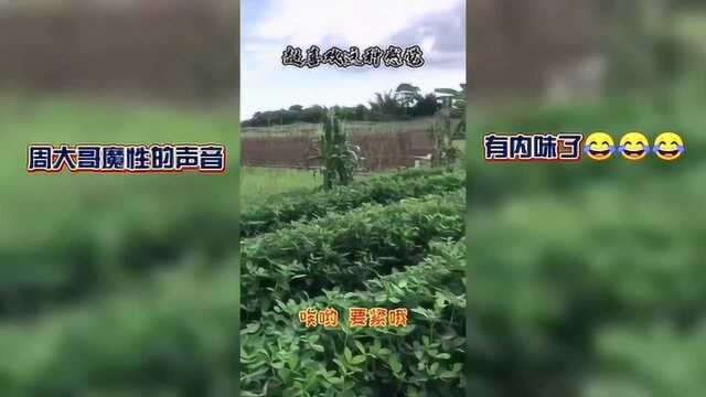 出狱后的周某又更新一个视频,再爆经典金句:我超喜欢这种感觉哦!