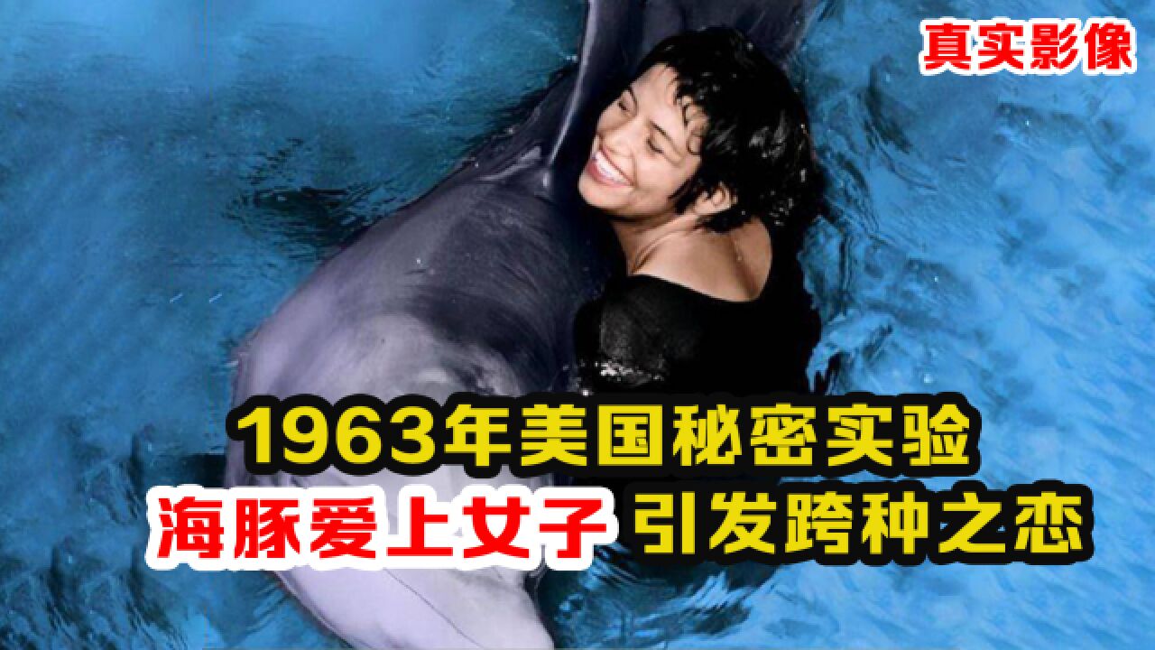 1963年人类对海豚实验影像:引发海豚爱上女子,分开后海豚自尽