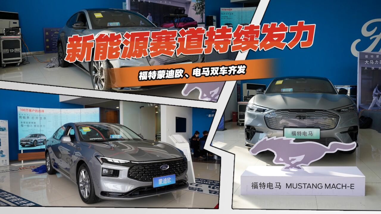 新能源赛道持续发力,福特蒙迪欧、电马双车齐发