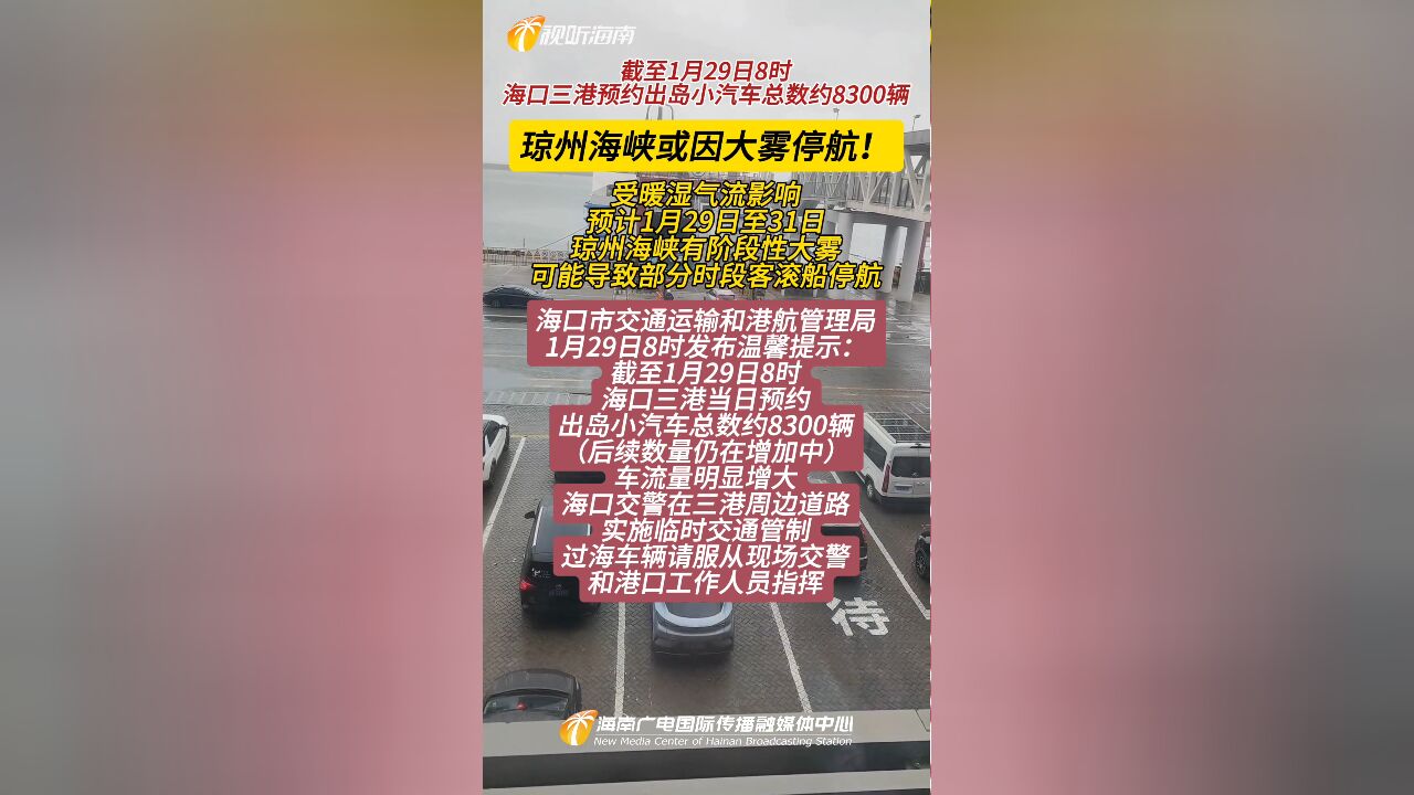 琼州海峡或因大雾停航!