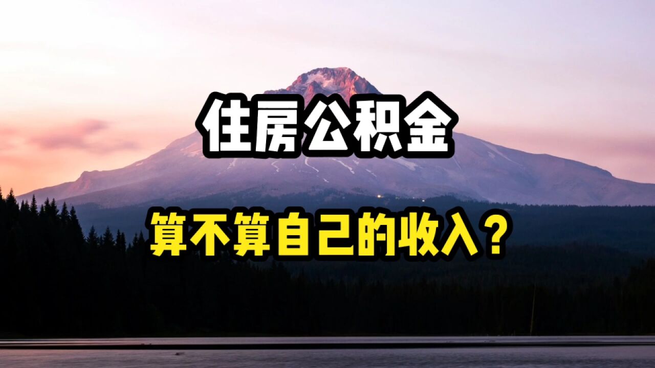 住房公积金,能够视为是自己的收入吗,为什么?