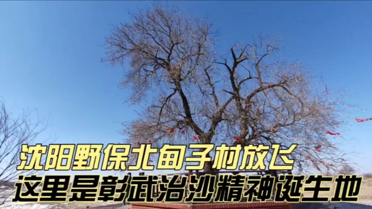 沈阳野保北甸子村春季放飞,这里是“彰武治沙精神”诞生地