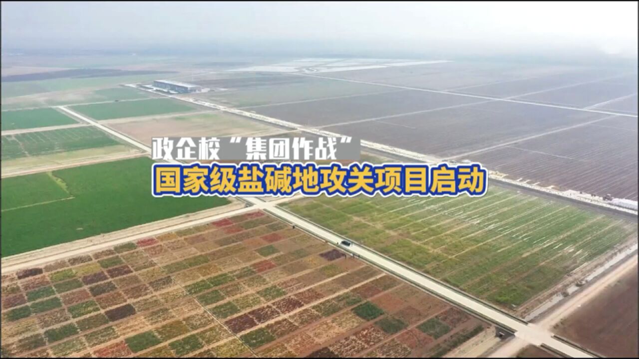 盐碱地综合利用丨政企校“集团作战” ,国家级盐碱地攻关项目在高密启动