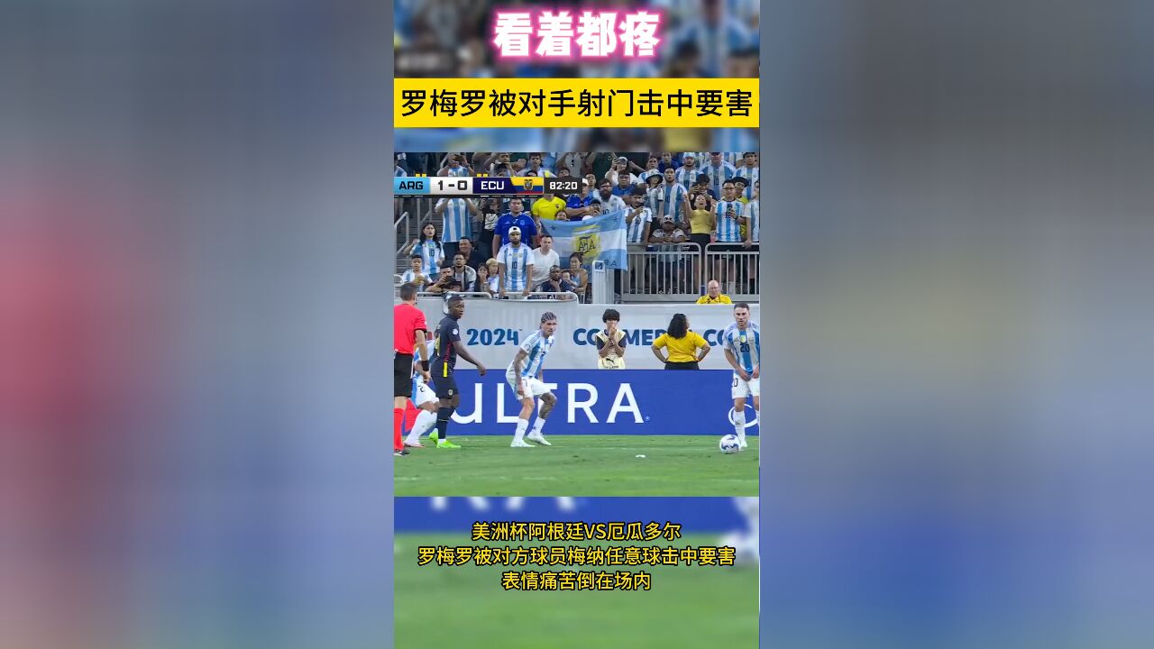 看着都疼!阿根廷球员被对手任意球击中要害,表情痛苦倒地