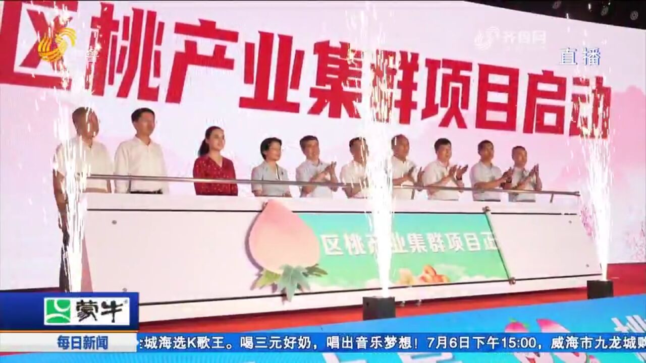 国家鲁中山区桃产业集群项目在蒙阴启动,促进桃产业融合发展